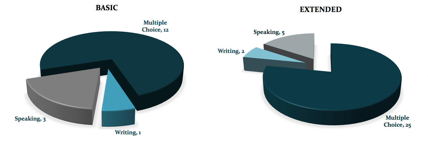 language testing